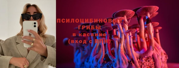 дживик Алексин
