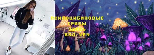дживик Алексин