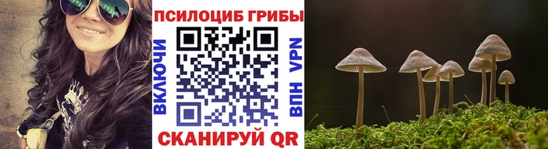 что такое наркотик  Ветлуга  Псилоцибиновые грибы мицелий 